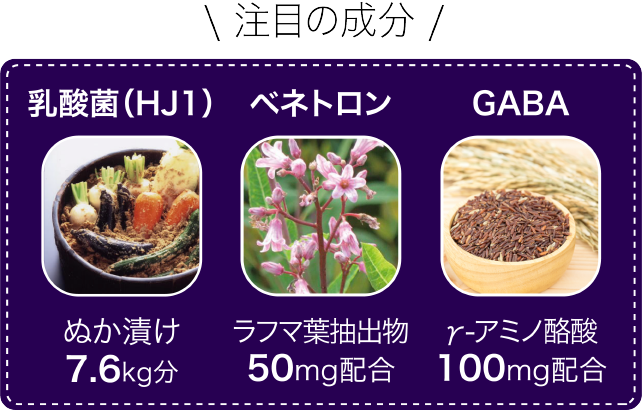 ぬか漬け、べネトロン、ギャバ