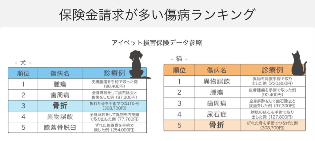 ペット保険請求が多いランキング表