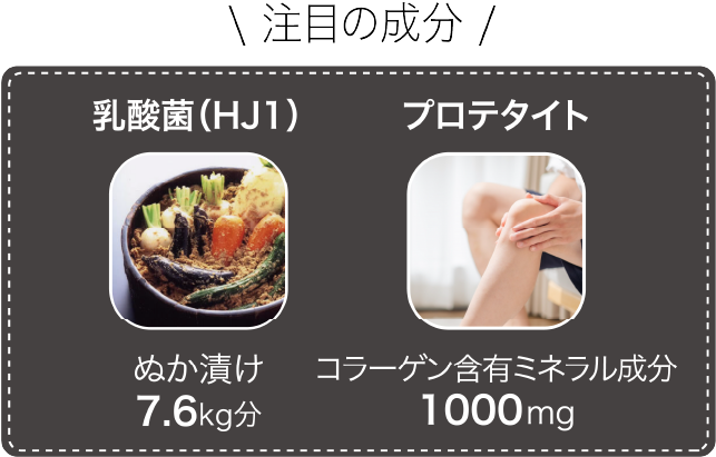 乳酸菌、プロテタイトの写真