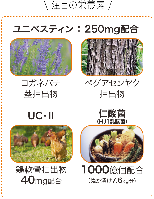 ユニべステン、ベグアセンヤク、ucⅡ型、ぬか漬け