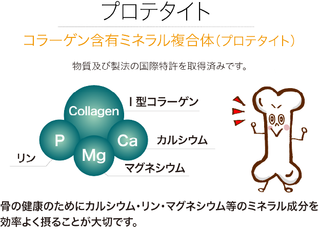 プロ手タイトの説明画像