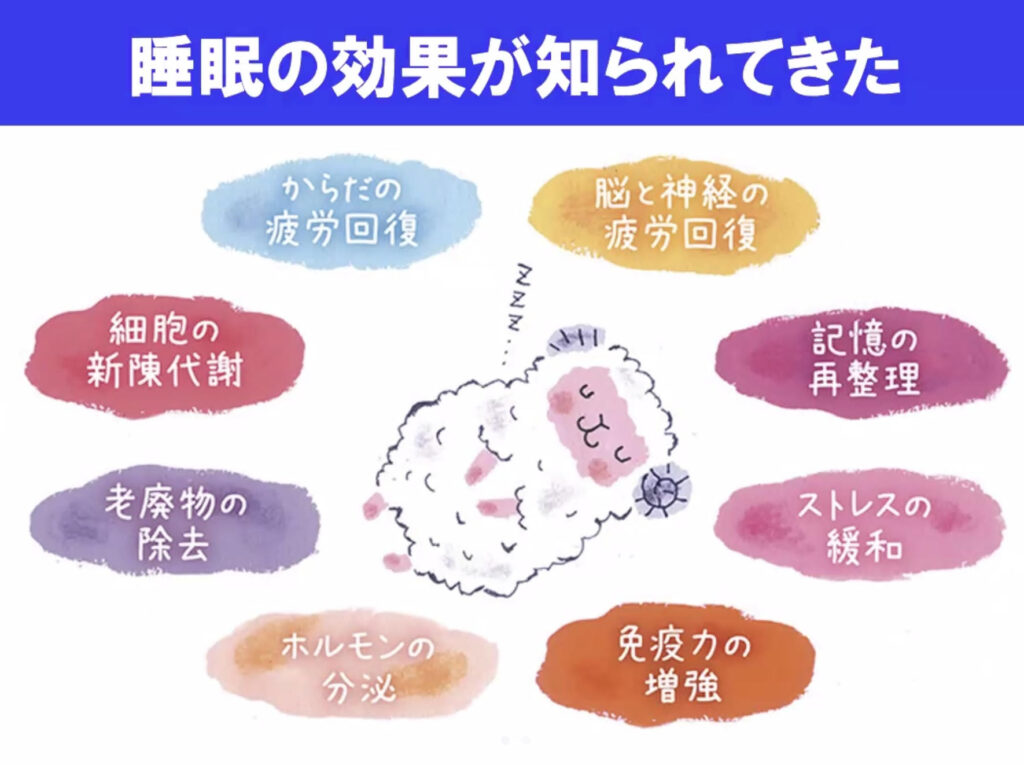 羊が睡眠の効果を伝えている