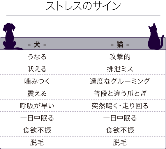 ペット睡眠不足の症状表