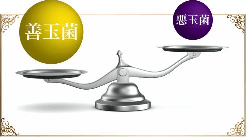 皮膚常在菌のバランスを天秤で説明