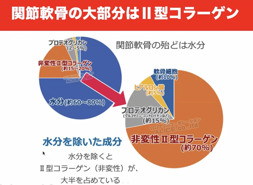 関節の大部分はⅡ型コラーゲン