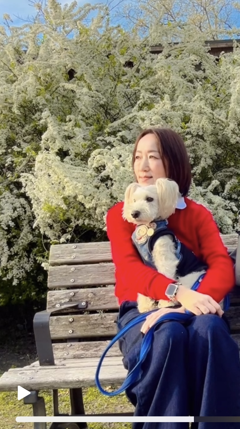 犬を大っこしている私