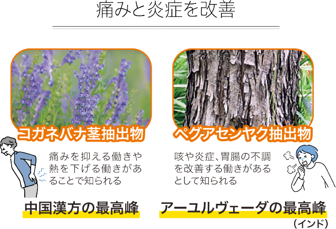 こがね花、木
