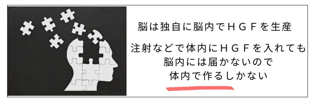 記憶低下の説明